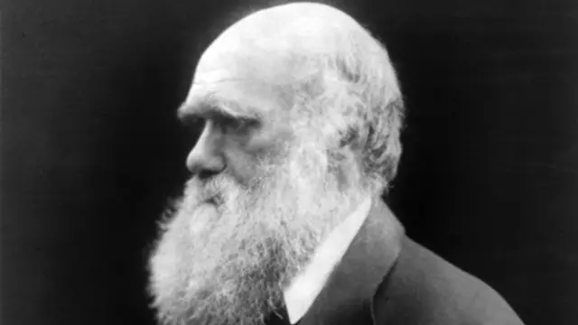 "Bir saatini heba etmeyi göze alan bir insan, hayatın değerini kavrayamamıştır"