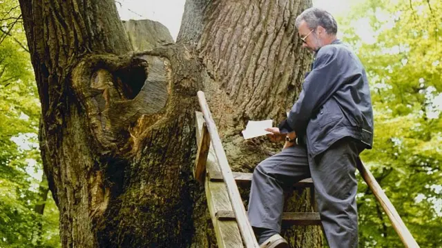 రొమాంటిక్ పోస్టు బాక్సు