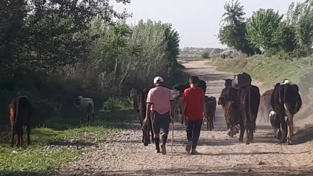 Rus talabalari ishtirokidagi porno onlayn