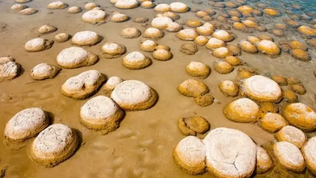 يُقدر عمر شعاب الـ "ثرومبوليت" الموجودة تحت مياه بحيرة كليفتون بنحو ألفيْ عام