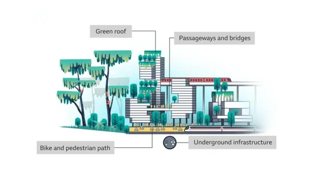 Illustration of the biomimicry concept