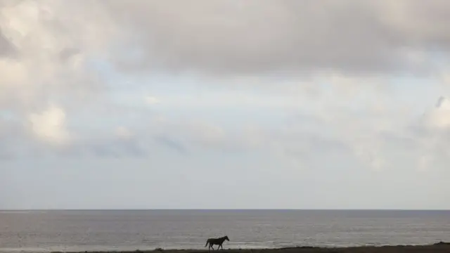 Paisaje Isla de Pascua
