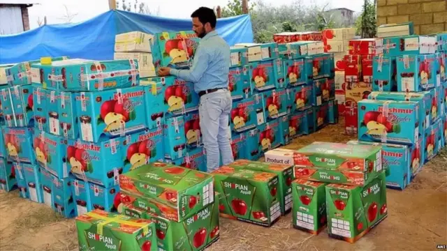 కశ్మీర్ ఆపిల్