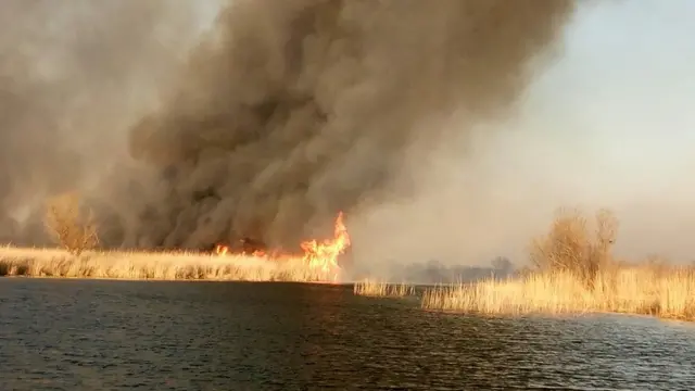 горить трава