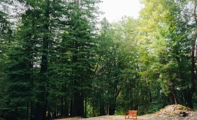 Banco para visitantes.