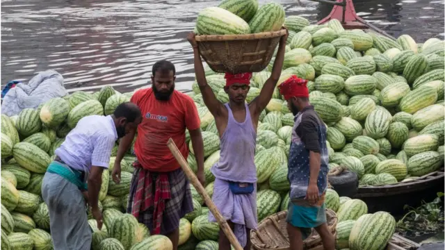 দেশের বিভিন্ন এলাকা থেকে তরমুজ আসে ঢাকায়।