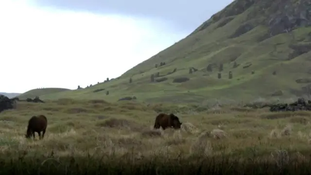 ख़ात्मे की कगार पर भाषा, पॉलीनेशिया, रोंगोरोंगो लिपि, दुर्लभ लकड़ी, न्यूज़ीलैंड, प्रशांत महासागर, जज़ीरा, दक्षिणी प्रशांत महासागर, रापा नुई, सांस्कृतिक विरासत