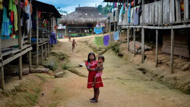 Amazonia colombiana