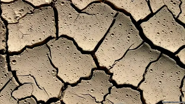 ਚੰਗੀ ਮਿੱਟੀ ਵਿੱਚ ਮਹਿਕ ਪੈਦਾ ਕਰਨ ਵਾਲੇ ਬੈਕਟਰੀਆ ਵੱਡੀ ਗਿਣਤੀ ਵਿੱਚ ਮੌਜੂਦ ਹੁੰਦੇ ਹਨ