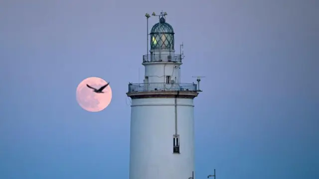 স্পেনের মালাগায় বাক মুনের সময় লাইটহাউজের পাশে উড়ে যাচ্ছে পাখি