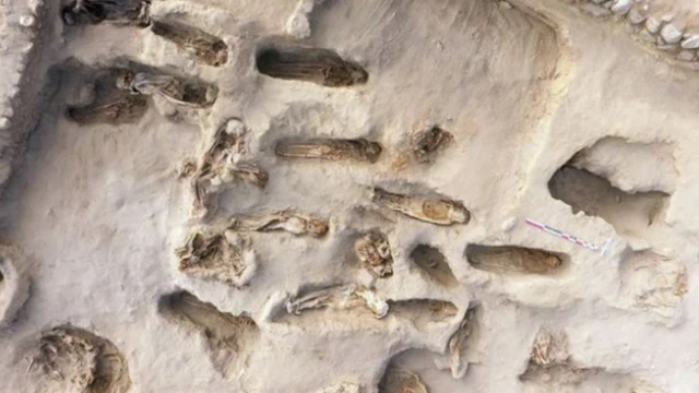 พบโครงกระดูกของเด็กเผ่าชิมูที่ถูกฆ่าบูชายัญถึง 227 ศพ