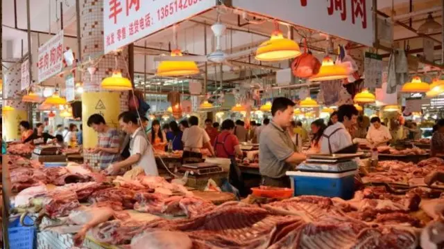 بازار فروش حیوانات وحشی