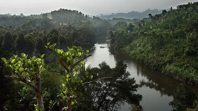 ماداگاسکار