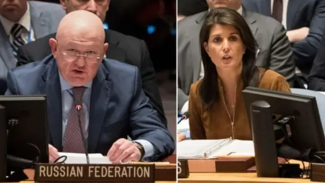 నిక్కీ హేలీ, వాసిలీ నెబెన్జియా