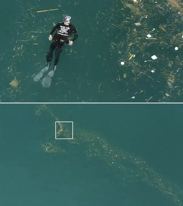 প্লাস্টিক, সেন্টিনেল পিক্সেল,