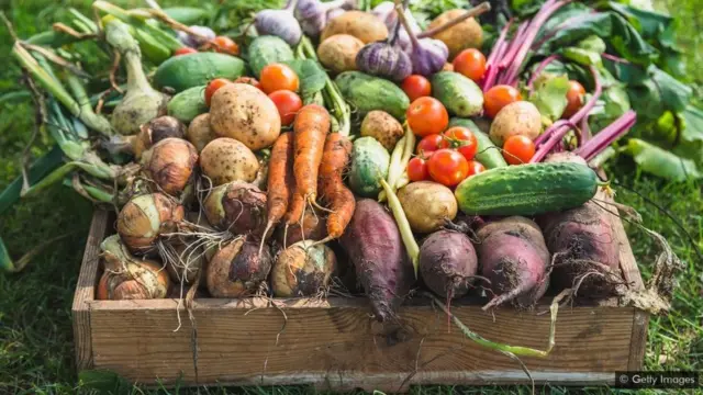 రోగనిరోధక శక్తి