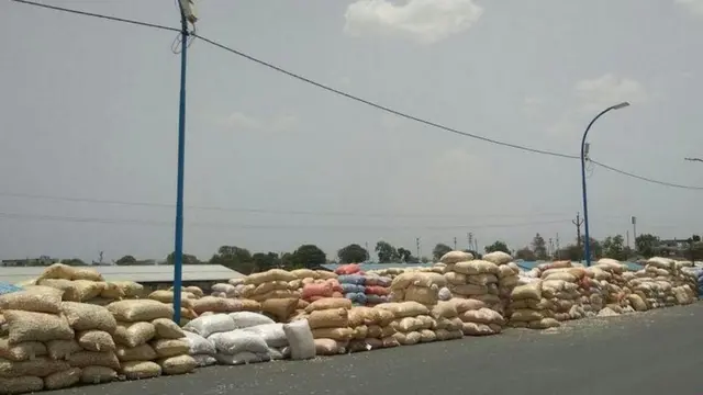 एक रुपये किलो लहसुन