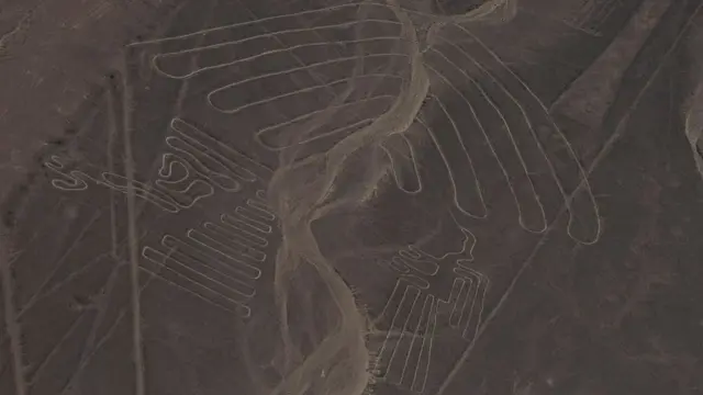 南米ナスカの地上絵に巨大ネコ 2000年前に作成か - BBCニュース