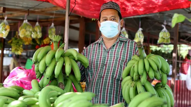 馬來西亞的香蕉攤