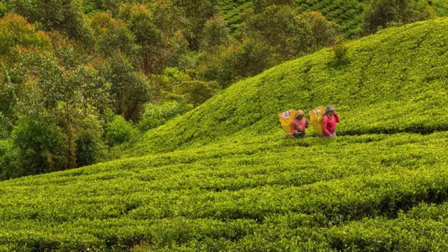 பாரதீய ஜனதா கட்சி