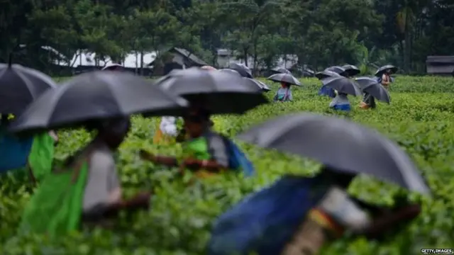 ਆਸਮਾਨੀ ਬਿਜਲੀ