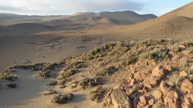 Deserto da América do Sul