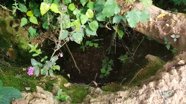 Looking down into an overgrown pit