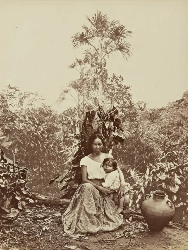 அமேசான் காடு 150 ஆண்டுகளுக்கு முந்தைய புகைப்படங்கள்: பொக்கிஷம்