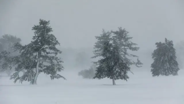 badai salju menghantam wilayah hutan di Boston