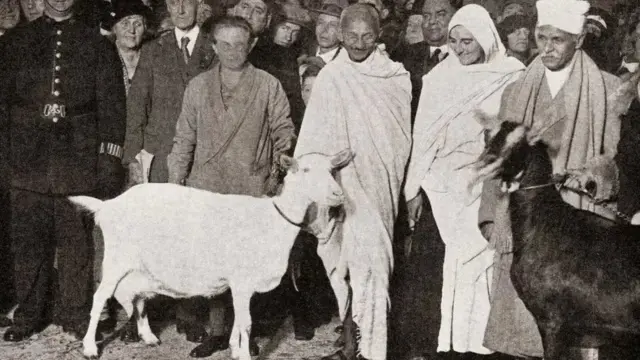 मीरा बेन