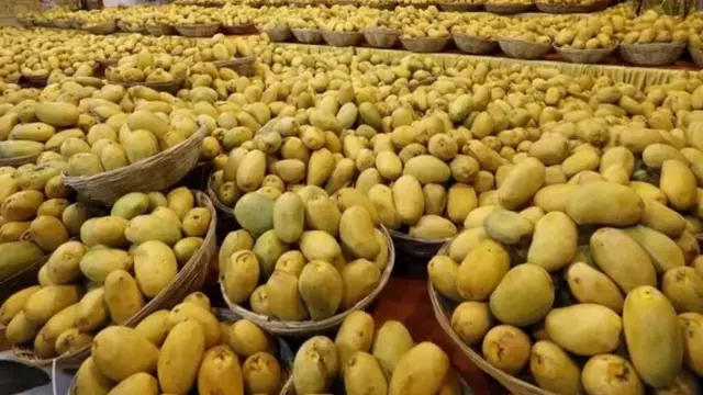 மாம்பழங்கள்