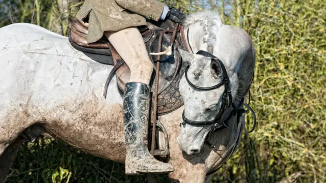 охотник в седле