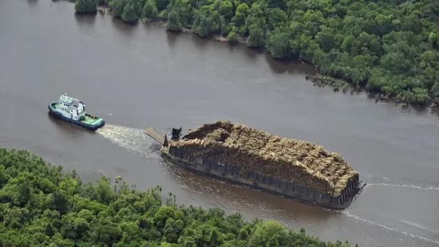Tugboat membawa kayu di sungai di Sumatera Selatan.
