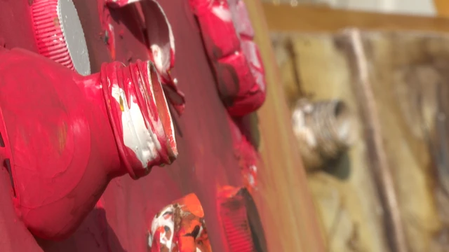 معرض للفن التشكيلي باستخدام تكنولوجيا الذكاء الصناعي للتوعية بمخاطر استخدام المواد البلاستيكية على البيئة