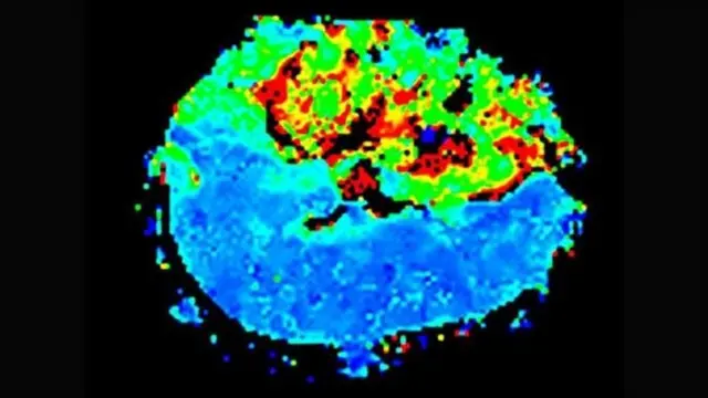 विज्ञान, वैद्यकीय,