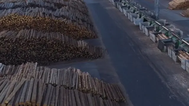 एजंट ग्रीन