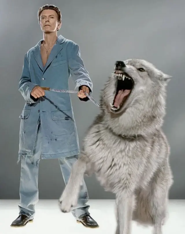 Markus Klinko je 2002. načinio zapanjujuće kompozitne slike Bouvija sa divljim vukovima na foto-sešnu za magazine GQ