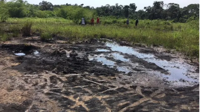 Pipo dey look dia land wey oil spill on dabaru