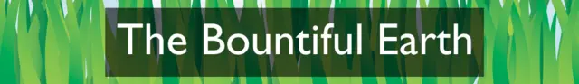The Bountiful Earth