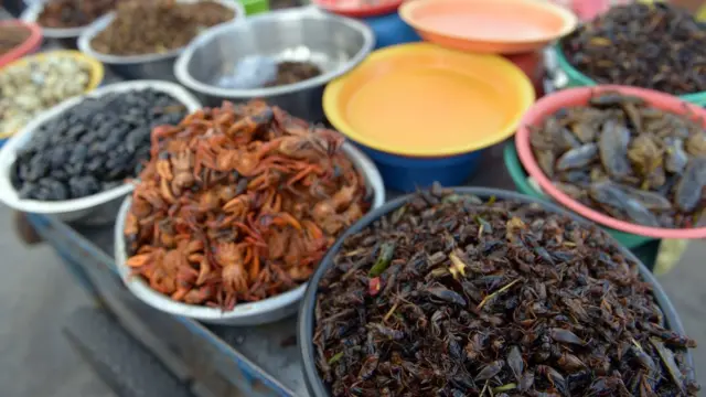 รถเข็นขายแมลงทอด