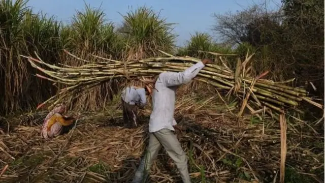 مودی معاشی پالیسی