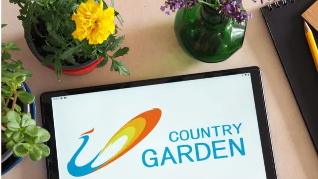 A Country Garden Holdings é a maior empresa imobiliáriaaviator aposta ganha telegramvendas na China