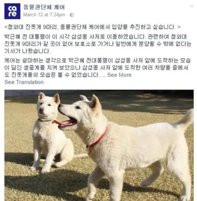 Tổ chức Care đưa ra thông cáo trên Facebook nói bà Park đã để lại đàn chó tại dinh tổng thống