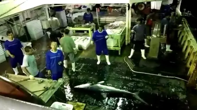 ABK Indonesia di kapal China