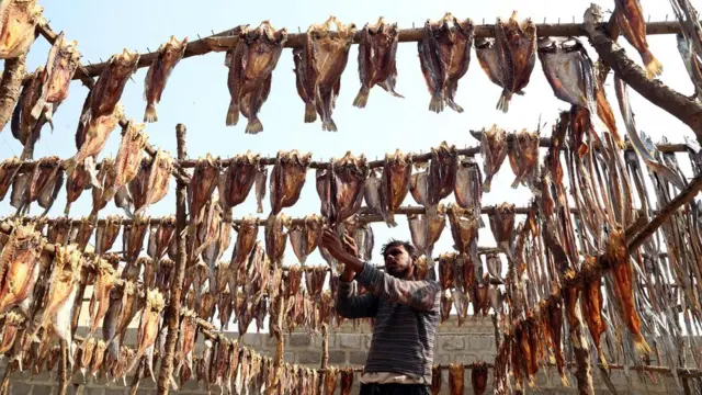 کراچی ماہی گیر