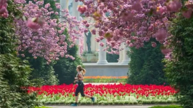 शारिरीक अभ्यास गर्दै।