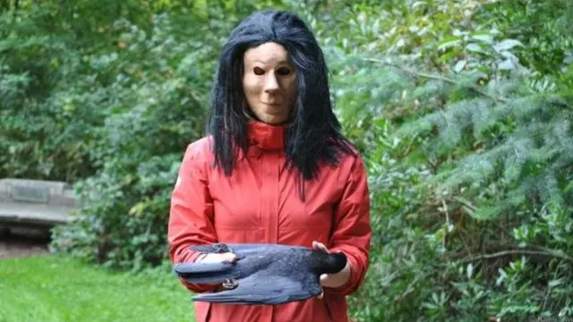 فردی که ماسک به صورت داشت یک کلاغ مرده را ۳۰ دقیقه در دست خود نگه می‎داشت