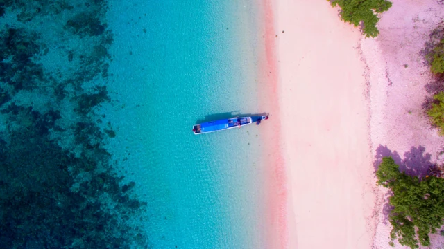 Pink beach at Komodo
