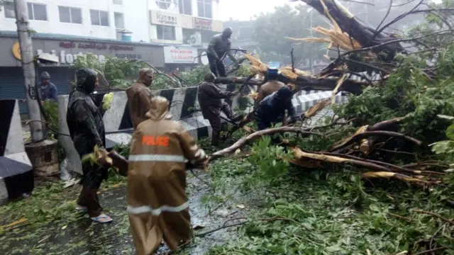 வர்தா புயலால் வேரோடு சாய்ந்த மரங்கள்