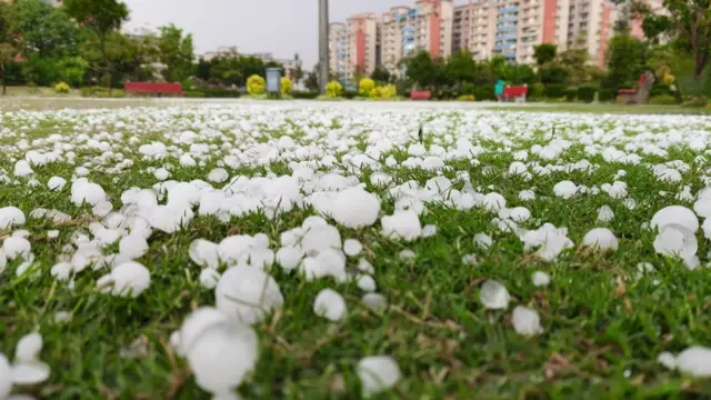 दिल्ली-एनसीआर में गिरे ओले